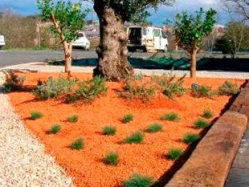 Curso de construcción, remodelación y restauración de zonas verdes