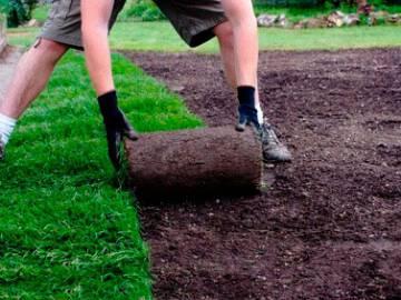 Curso de instalación y mantenimiento de céspedes