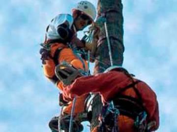 Curso de Técnicas de Rescate en Trabajos de Poda en Altura