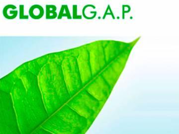 Implantación buenas prácticas agrícolas según GLOBALG.A.P.