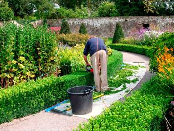 CURSO DE CONSERVACIÓN Y MANTENIMIENTO DE ESPACIOS VERDES